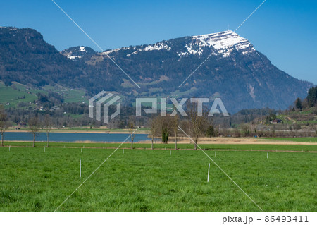 View from a green field over a lake towards mount Rigi, a famous mountain in Switzerland, Europe 86493411