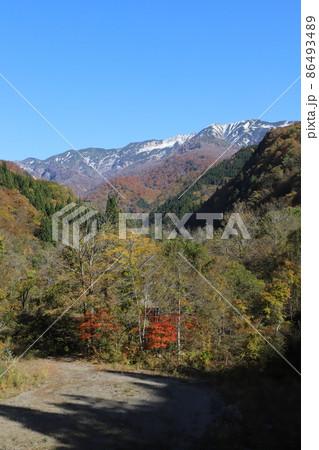 石川県道33号白山公園線の紅葉と雪化粧の白山（石川県白山市） 86493489