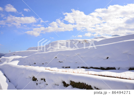 見上げる雪景色の姨捨棚田 見上げる雪景色の姨捨棚田 86494271