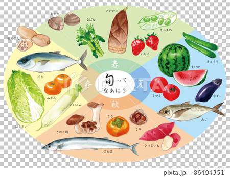 旬の食べ物　水彩イラスト　Japanese seasonal food 86494351