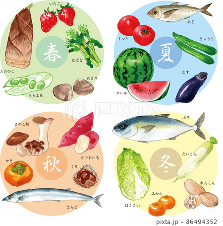 旬の食べ物 水彩イラスト Japanese Seasonal Foodのイラスト素材