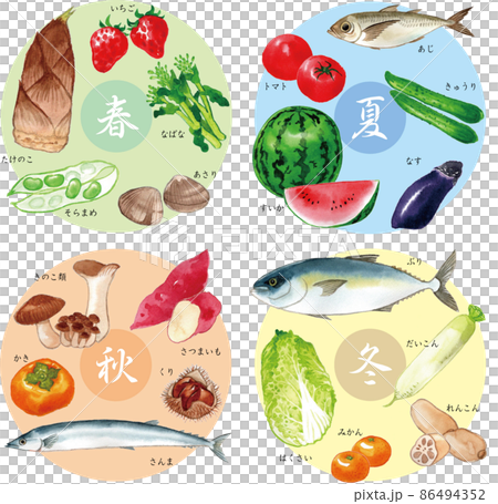 旬の食べ物 水彩イラスト Japanese seasonal food 旬の食べ物 水彩イラスト Japanese seasonal food 86494352