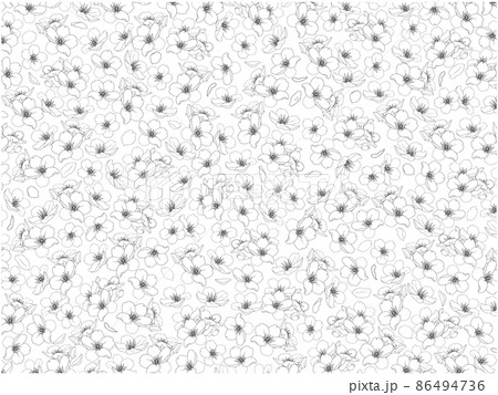 さくらの線画背景①(黒,一面) さくらの線画背景①(黒,一面) 86494736