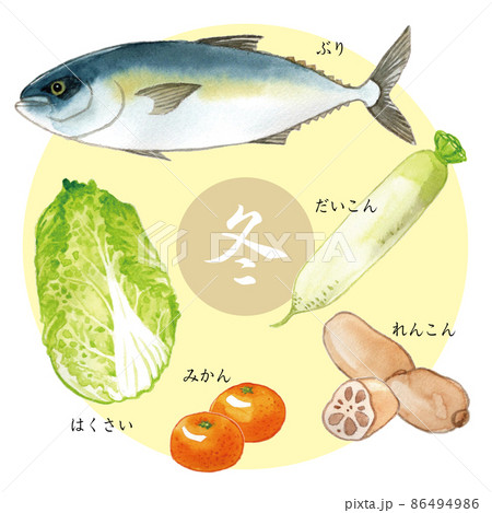 旬の食べ物（冬）　水彩イラスト　Japanese seasonal food 86494986