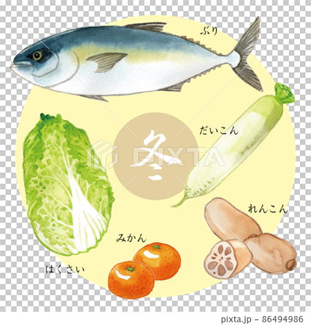 旬の食べ物（冬）　水彩イラスト　Japanese seasonal food 86494986