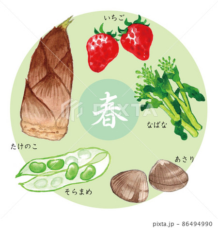 旬の食べ物 春 水彩イラスト Japanese Seasonal Foodのイラスト素材