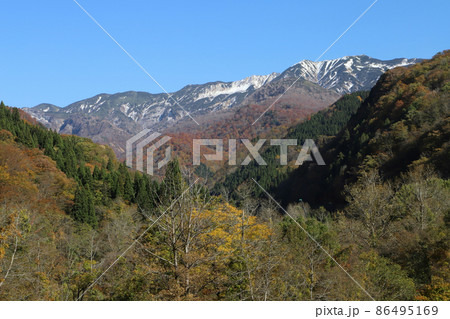 石川県道33号白山公園線の紅葉と雪化粧の白山(石川県白山市) 石川県道33号白山公園線の紅葉と雪化粧の白山(石川県白山市) 86495169