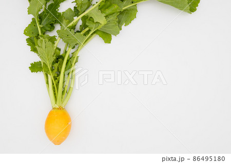 黄色大根 86495180
