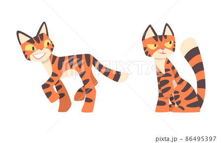 Tiger Character with Orange Fur and Black Stripes Walking and Sitting Vector Illustration Set Tiger Character with Orange Fur and Black Stripes Walking and Sitting Vector Illustration Set 86495397