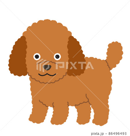 トイプードルの犬イラストのイラスト素材