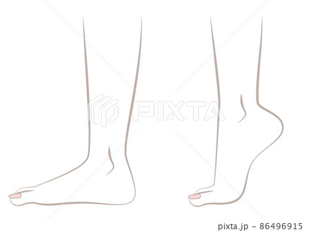 つま先立ち、かかと上げ つま先立ち、かかと上げ 86496915