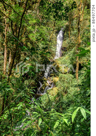 Waterfall on wild mountain river. San Gerardo de Dota, Costa Rica. 86497704