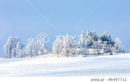 Winter landscape with tree covered by snow 86497712