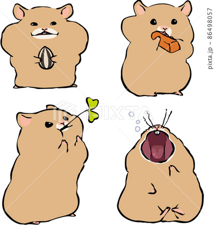 ご飯とあくびのハムスター詰め合わせ キンクマ のイラスト素材
