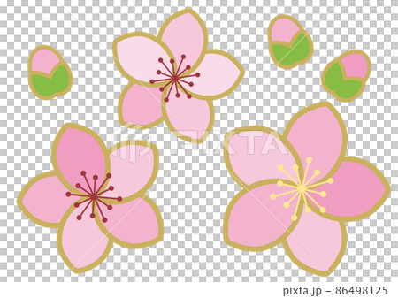 桃の花アイコンイラスト02 桃の花アイコンイラスト02 86498125