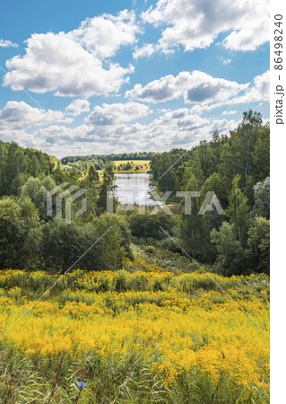 Solidago canadensis flowers in bright yellow on the slope of the ravine in autumn. Russian natural landscape Solidago canadensis flowers in bright yellow on the slope of the ravine in autumn. Russian natural landscape 86498240