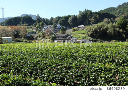 田峯城(愛知県設楽町) 田峯城(愛知県設楽町) 86498289