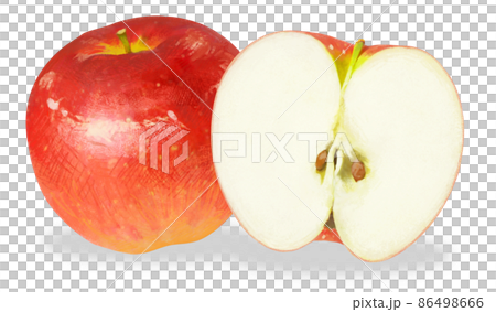 Illustration of an apple with a delicate touch (cut / whole) Illustration of an apple with a delicate touch (cut / whole) 86498666
