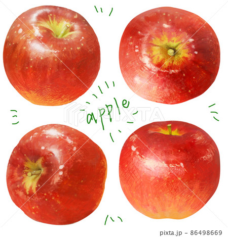 繊細なタッチのりんごのイラスト（丸ごと） 86498669