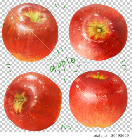 觸感細膩的蘋果插圖（整個） 86498669