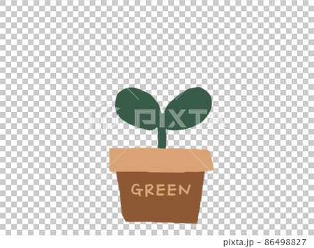 Cute botanical foliage plants / hand-drawn illustrations 86498827