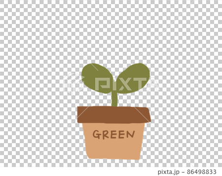 Cute botanical foliage plants / hand-drawn illustrations 86498833