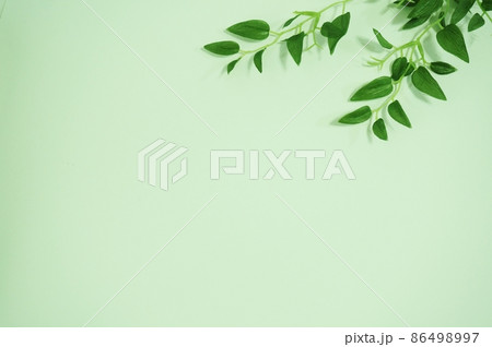 白バックにコピースペースのある癒しのフェイクグリーン 86498997