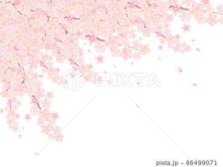 桜 満開 花びらが舞う背景 桜 満開 花びらが舞う背景 86499071