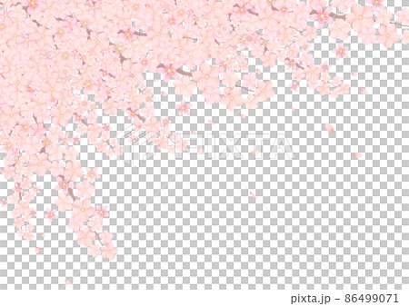 桜 満開 花びらが舞う背景 桜 満開 花びらが舞う背景 86499071