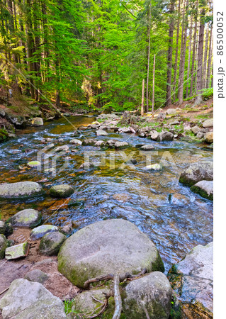 Picturesque forest landscape. A small river flows through the rocks in the forest. Mountainous terrain. Picturesque forest landscape. A small river flows through the rocks in the forest. Mountainous terrain. 86500052