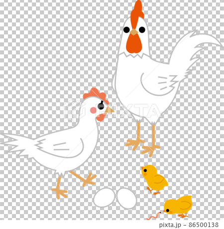 鶏とひよこと卵 86500138