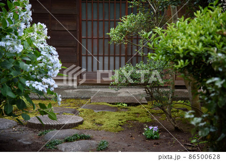 日本家屋の玄関　紫陽花 86500628
