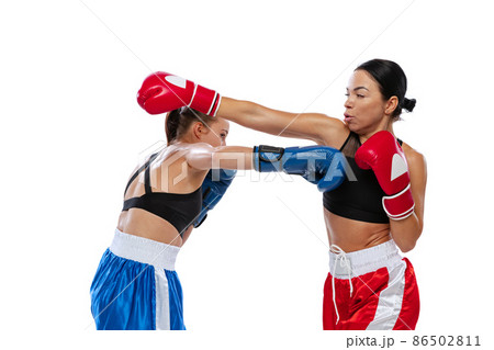 Couple of female professional boxers training isolated on white studio background. Fit muscular women in sports uniform fighting. Sport, competition 86502811