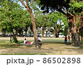 Mother sits on the grass with baby carriage peacefully in a city park. Kaohsiung Taiwan 86502898