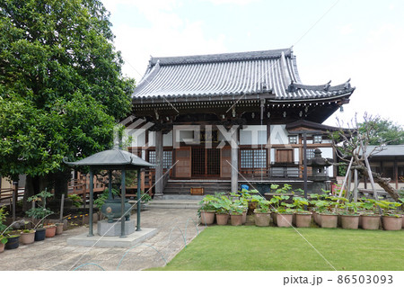 喜多見の知行院(東京都世田谷区) 喜多見の知行院(東京都世田谷区) 86503093