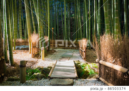 鎌倉 報国寺 竹の庭 鎌倉 報国寺 竹の庭 86503374