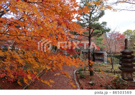 京都市嵯峨にある常寂光寺境内の休憩所と紅黄葉の風景 86503569