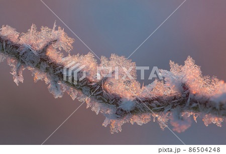 Background hoarfrost frost with sunrise light at cold morning 86504248