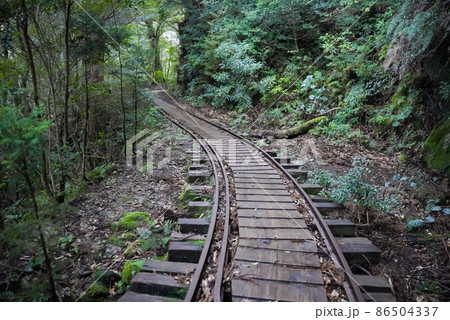 屋久島のトロッコ道 86504337