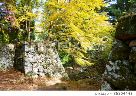 高取城跡の秋/紅葉(奈良県高市郡高取町) 高取城跡の秋/紅葉(奈良県高市郡高取町) 86504443