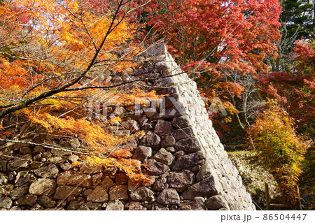 高取城跡の秋/紅葉(奈良県高市郡高取町) 高取城跡の秋/紅葉(奈良県高市郡高取町) 86504447