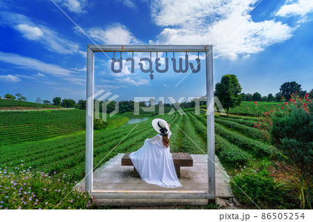 Tourist standing in tea plantation, Chiang Rai, Thailand. Translation: "choui fong tea". 86505254