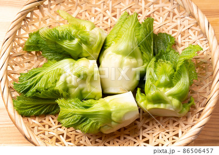 子持ち高菜 子持ち高菜 86506457