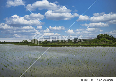 滋賀県大津市栗原の棚田を撮影 86506696