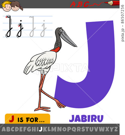 letter J from alphabet with cartoon jabiru bird animal character 86507256
