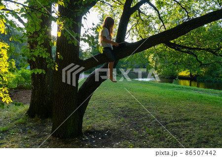 A schoolboy enthusiastically reads a book on a branch of a large tree, discovering the world of travel. Pre-sunset time. Home schooling concept. 86507442