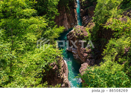 岐阜県関市川浦渓谷（かおれけいこく） 86508269