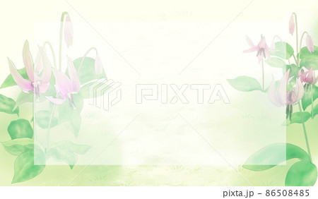 春を告げる日本の山野草・カタクリの咲く野山の道の背景イラストエリアボックスあり 86508485