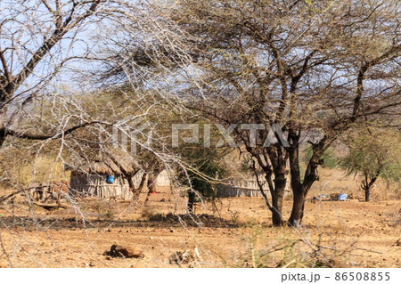 Traditional Maasai village in Tanzania, East Africa 86508855