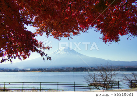 晩秋の富士山と紅葉 晩秋の富士山と紅葉 86510031